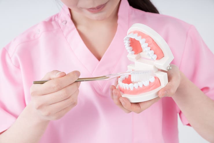 入れ歯を正しく管理して清潔を保つ