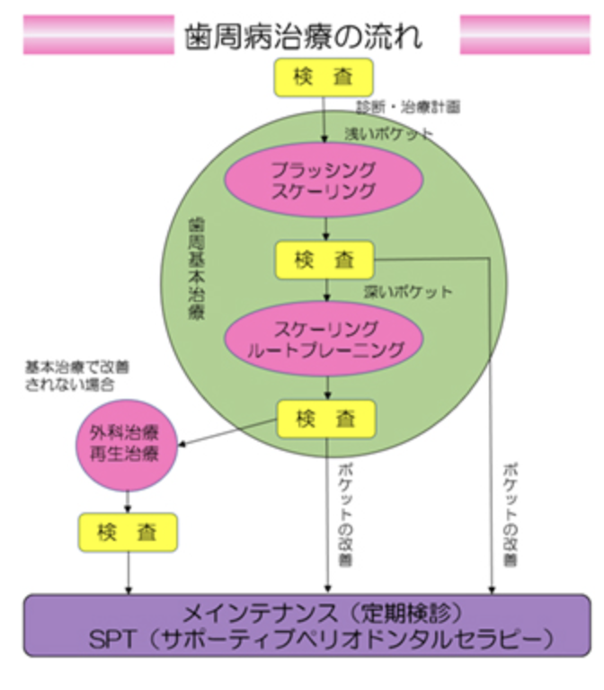 国立　　歯医者　歯周病治療の流れ　臨床歯周病学会