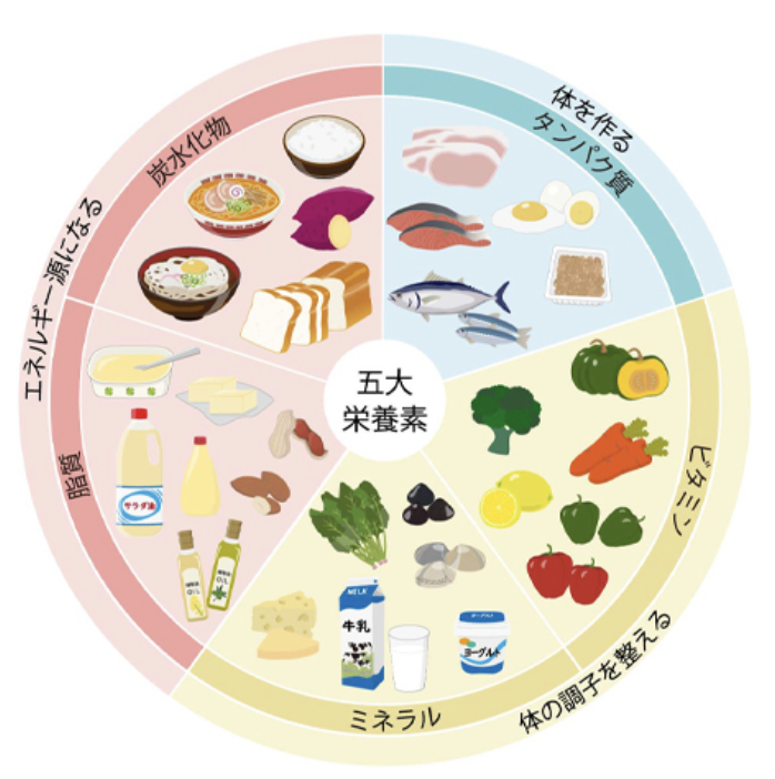 国立　歯医者　栄養素