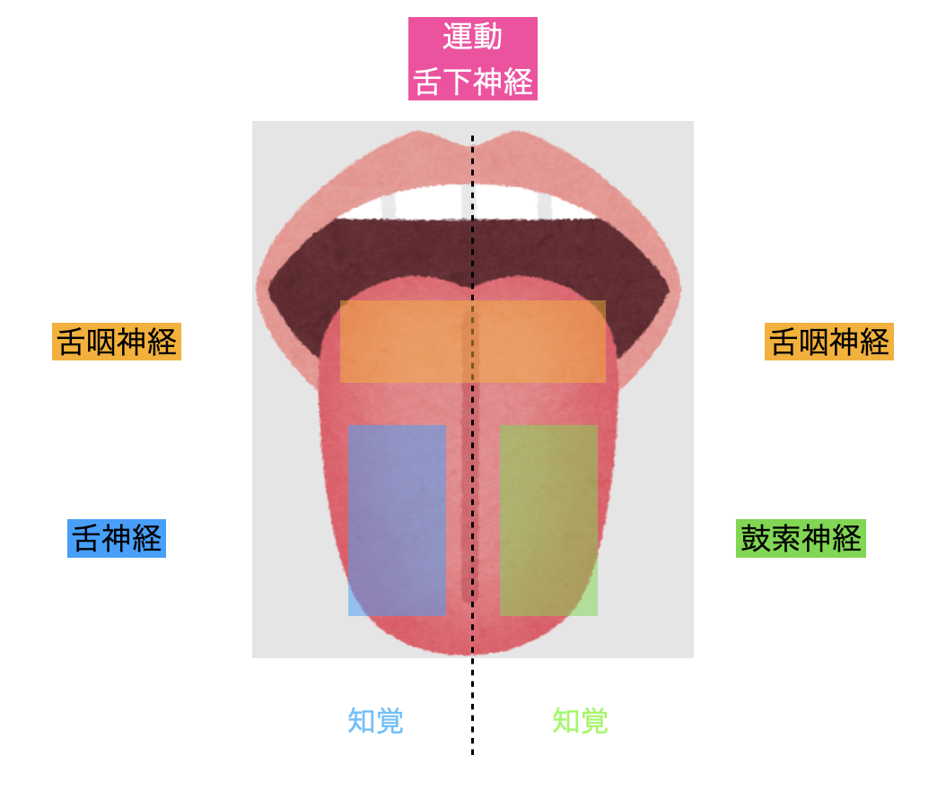 ブログ | 国立みんなの歯医者・矯正歯科・小児歯科・歯科口腔外科