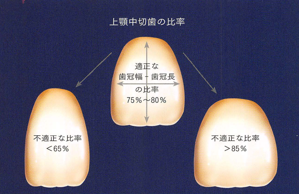 国立　歯医者　黄金比