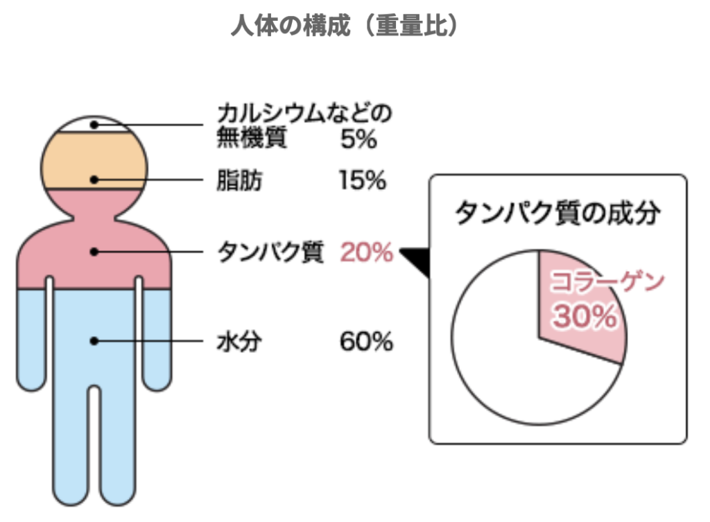 国立　歯医者　コラーゲン