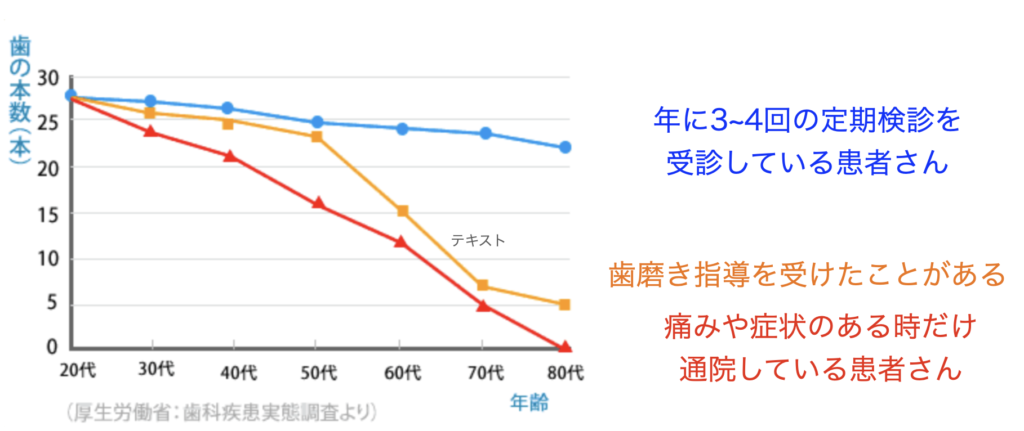 国立　歯医者　メンテナンス