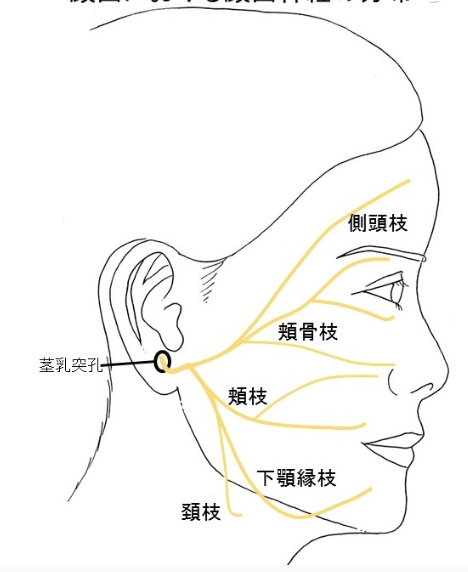 国立　歯医者　口腔外科