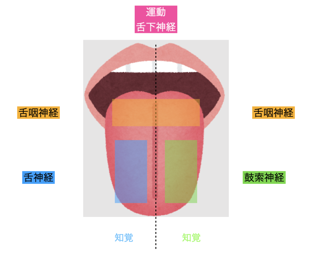 国立　歯医者　口腔外科