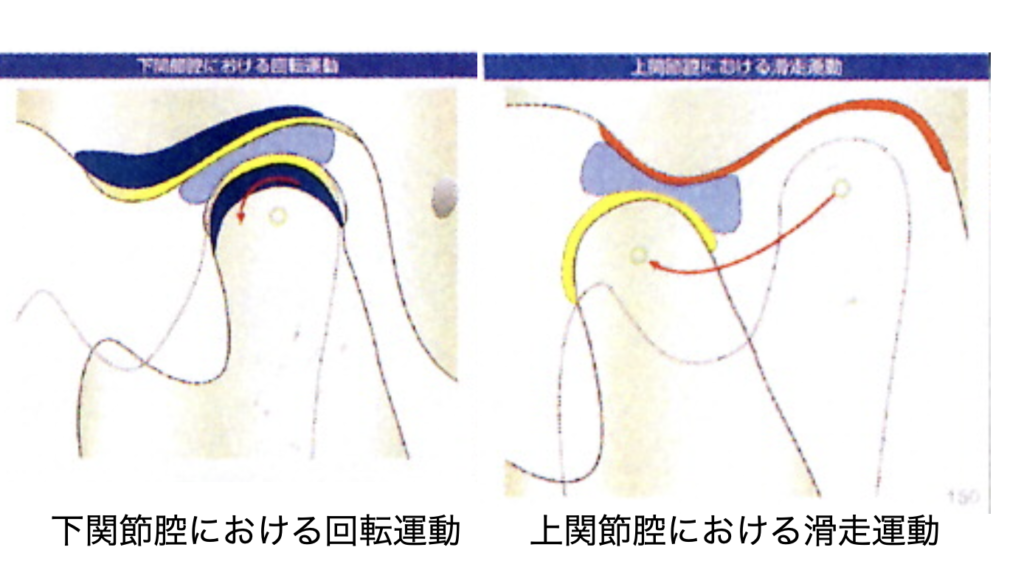 国立　歯医者　顎関節