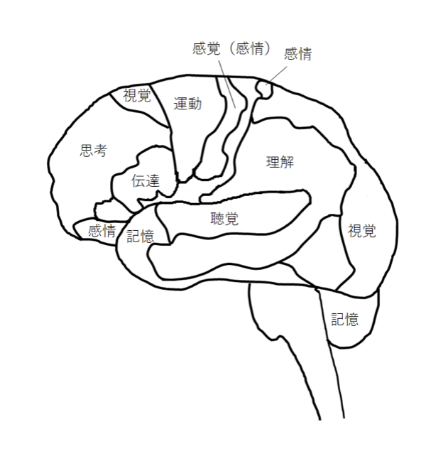 国立　歯医者　脳