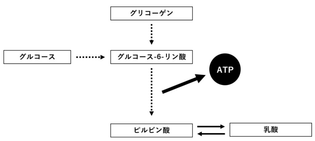 国立　歯医者　ATP