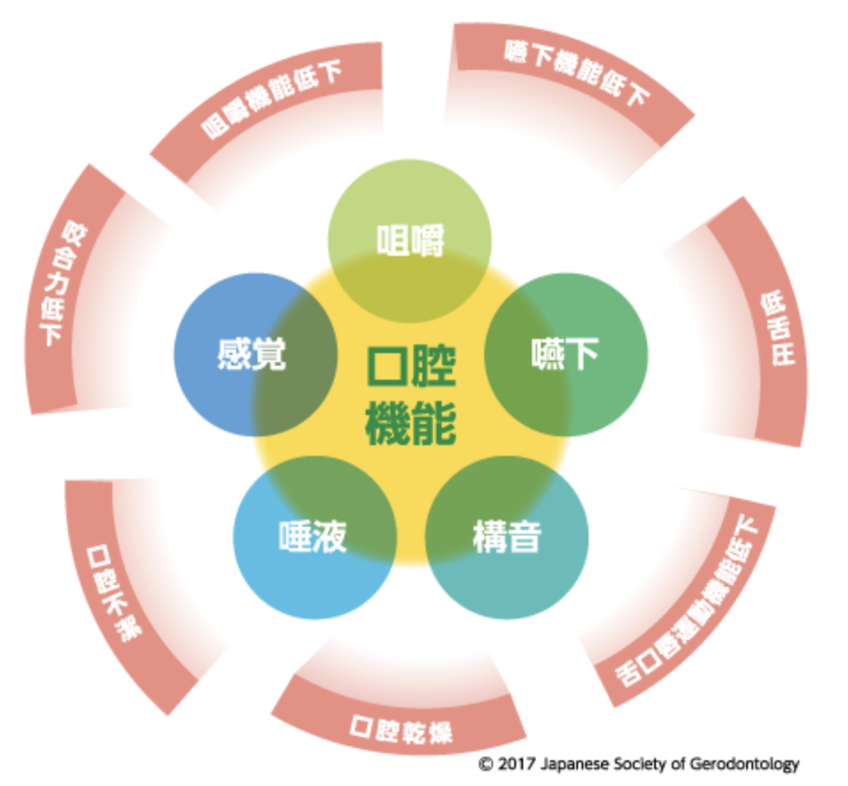 国立　歯医者　口腔
