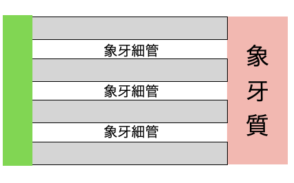 国立　歯医者　知覚過敏