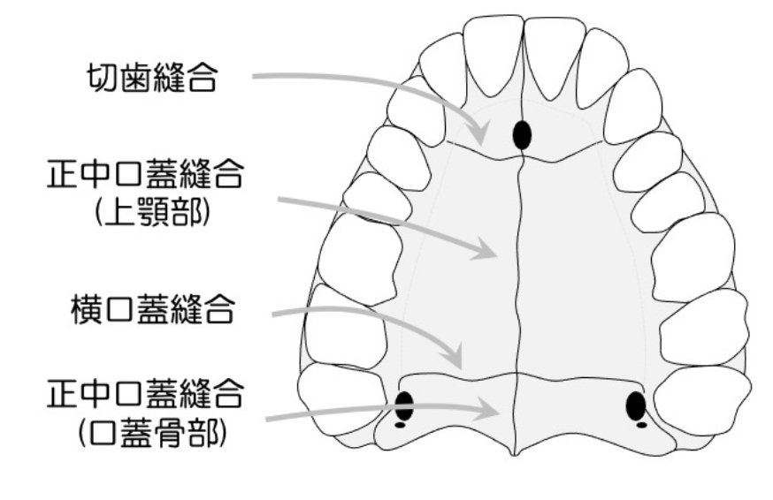 ブログ | 国立みんなの歯医者・矯正歯科・小児歯科・歯科口腔外科
