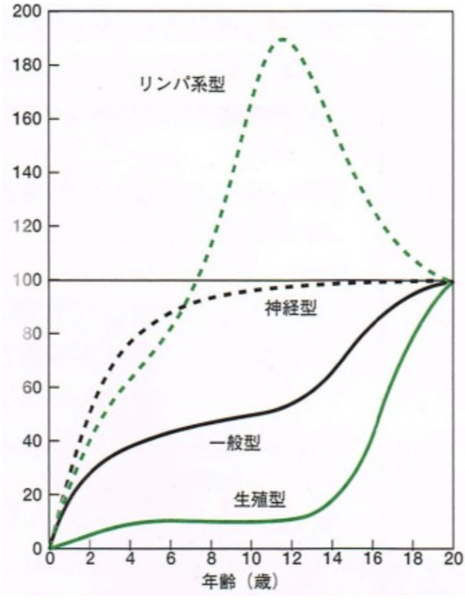 国立　歯医者　成長