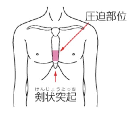 国立　歯医者　一次救命処置　119