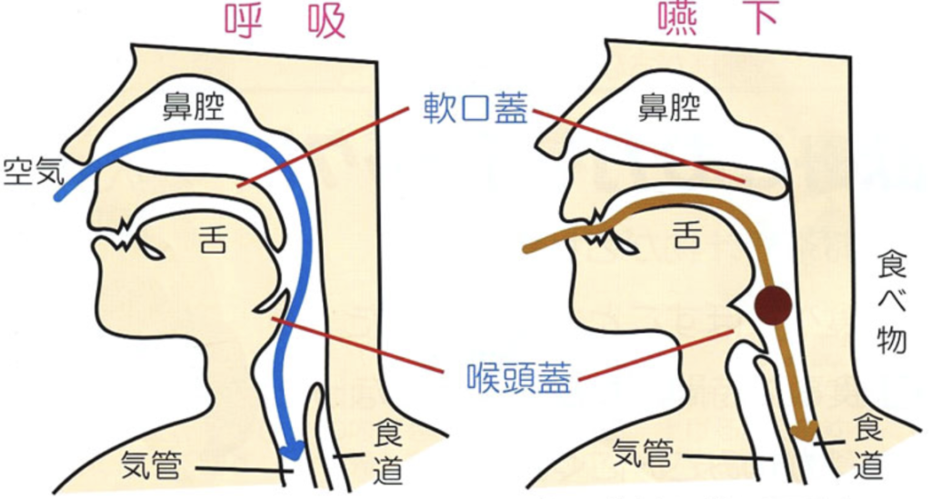 国立　歯医者　気道異物除去法