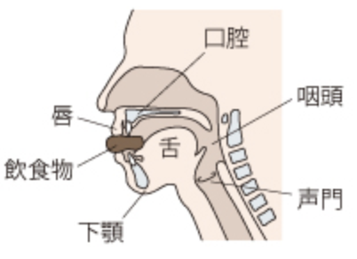 国立　歯医者　摂食・嚥下