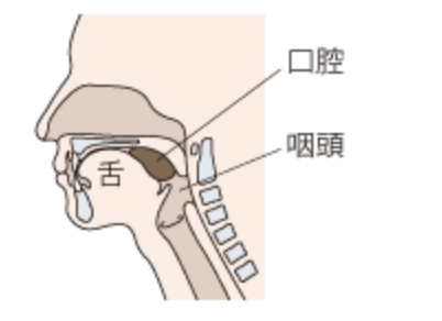 国立　歯医者　摂食・嚥下