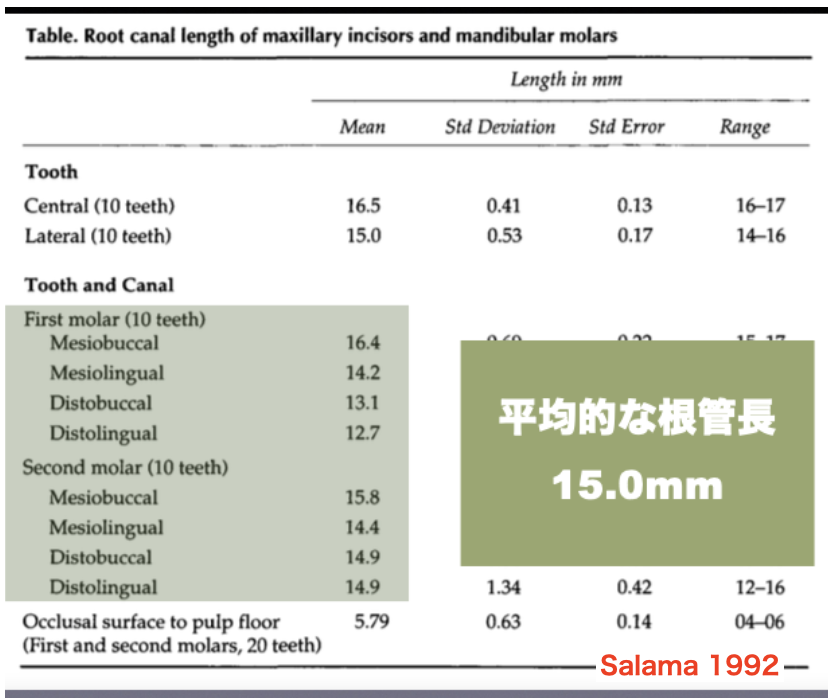 国立　歯医者　根管治療　小児