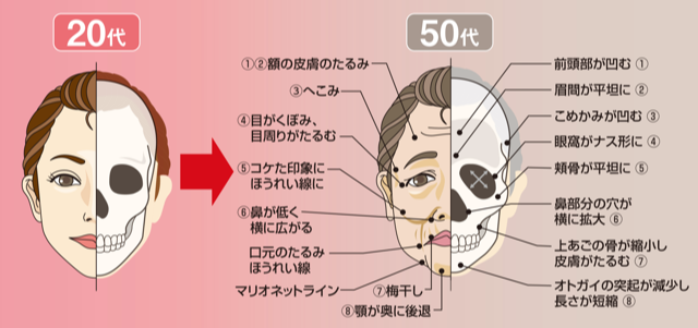 国立　歯医者　加齢変化