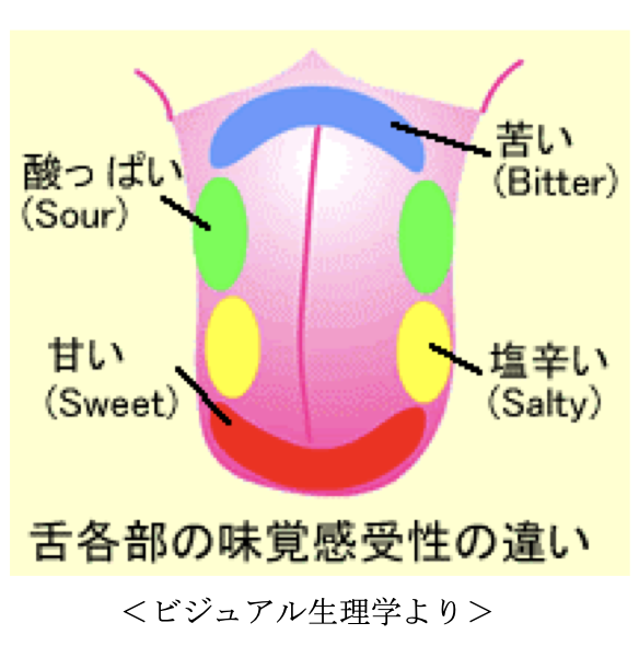 国立　歯医者　味覚