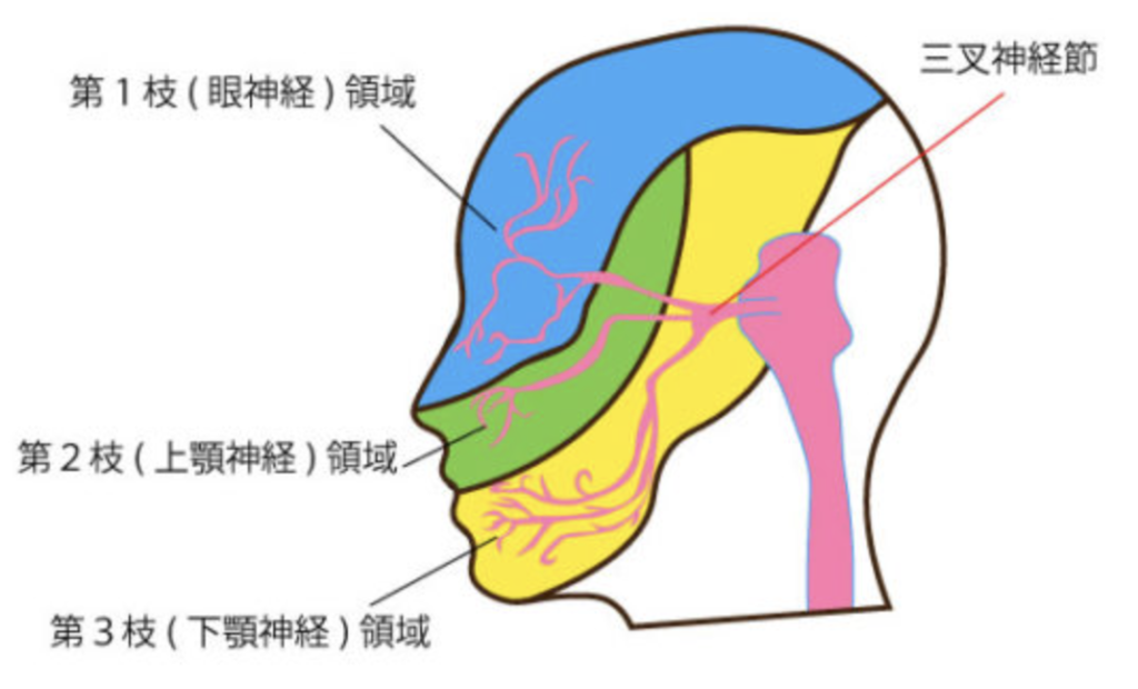 国立　歯医者　関連痛