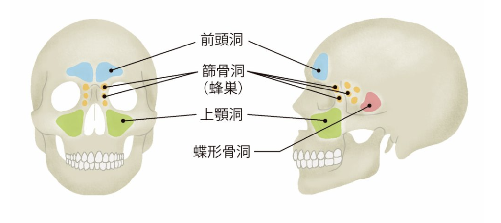 国立　歯医者　歯痛