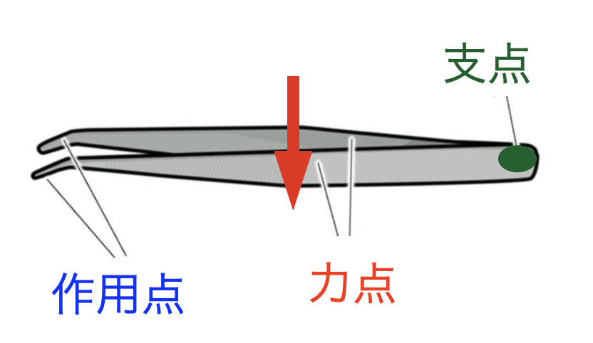 国立　歯医者　犬歯