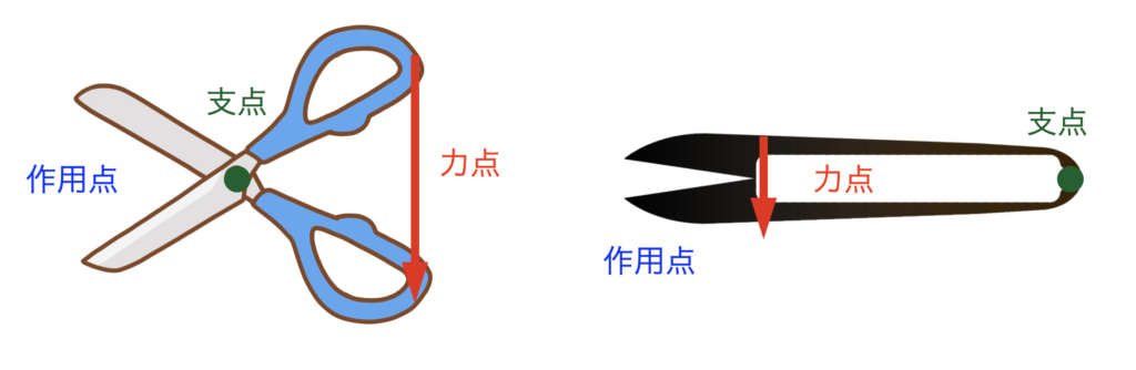 国立　歯医者　犬歯