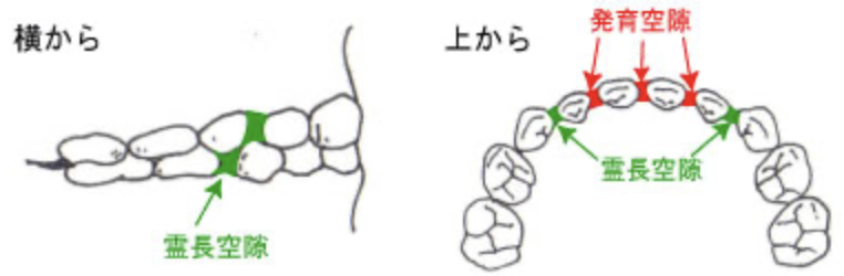 国立　歯医者　空隙