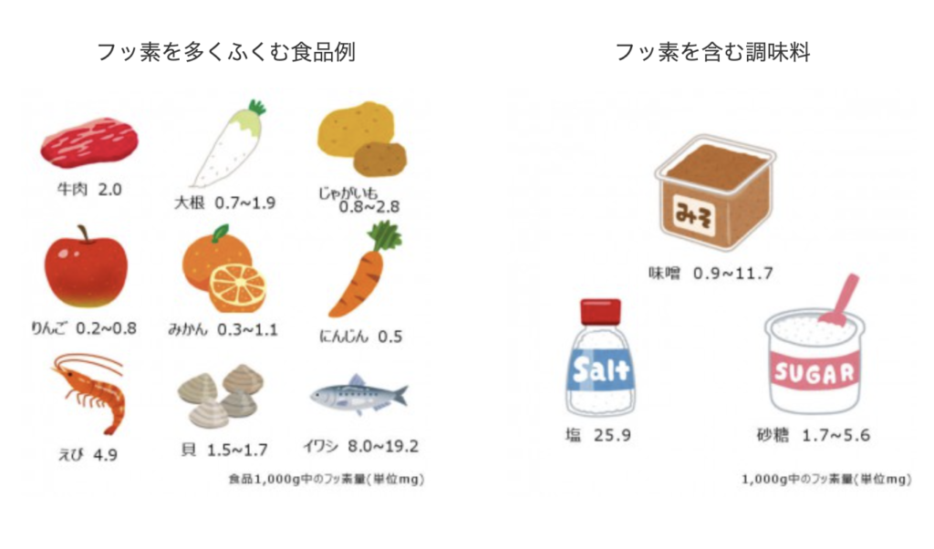 国立　歯医者　フッ素