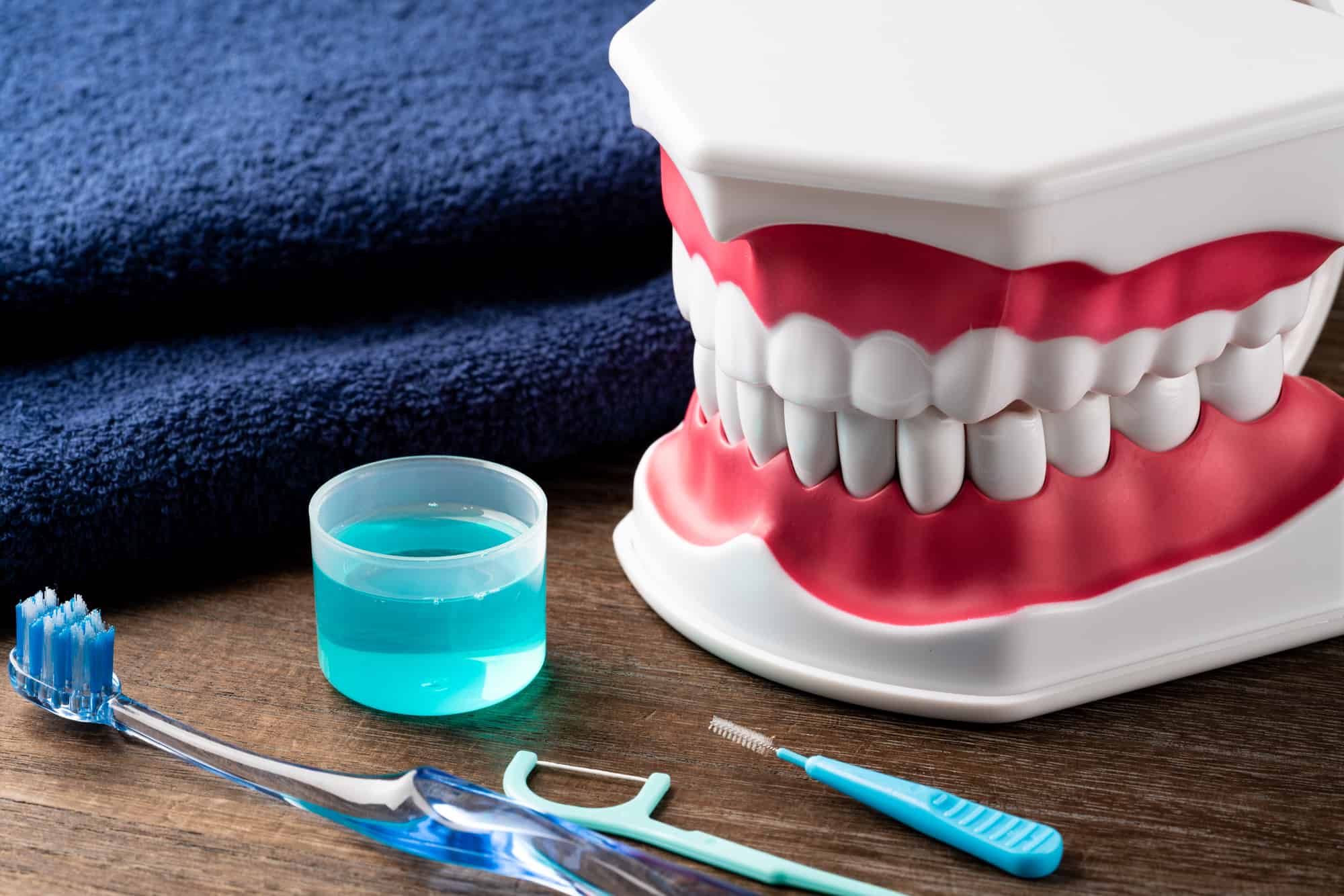 マウスウォッシュなど歯石予防のデンタルケア用品と歯の模型のイメージ